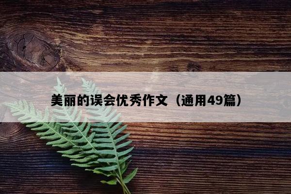 美丽的误会优秀作文（通用49篇）