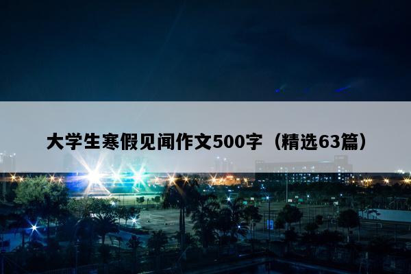 大学生寒假见闻作文500字（精选63篇）