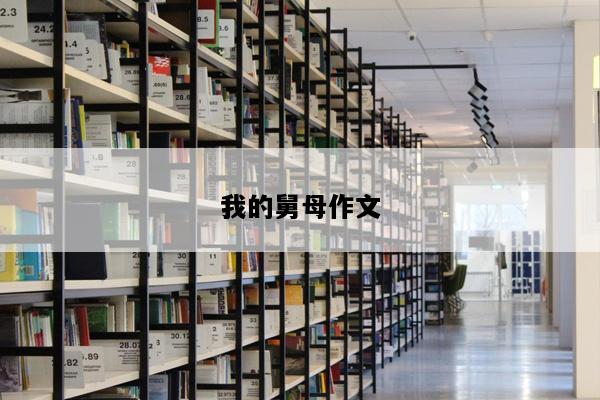 我的舅母作文