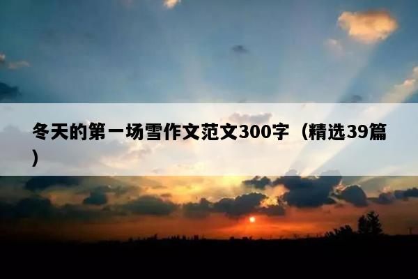 冬天的第一场雪作文范文300字（精选39篇）