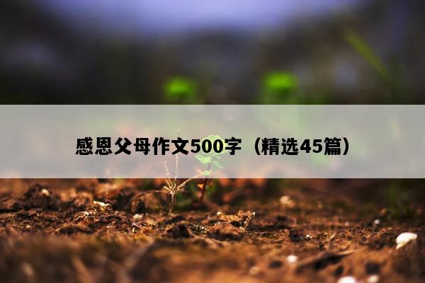 感恩父母作文500字（精选45篇）