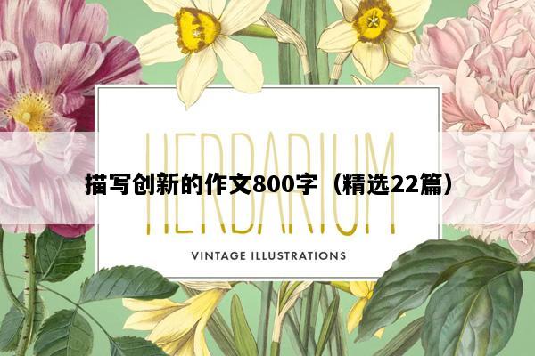 描写创新的作文800字（精选22篇）