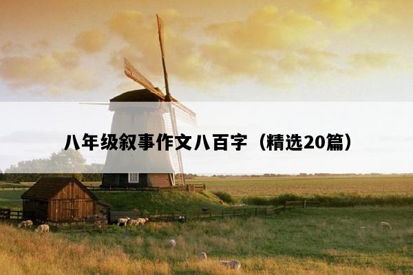 八年级叙事作文八百字（精选20篇）