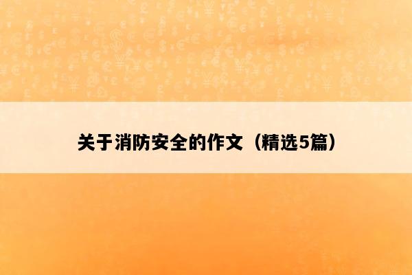关于消防安全的作文（精选5篇）