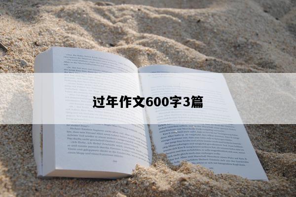 过年作文600字3篇