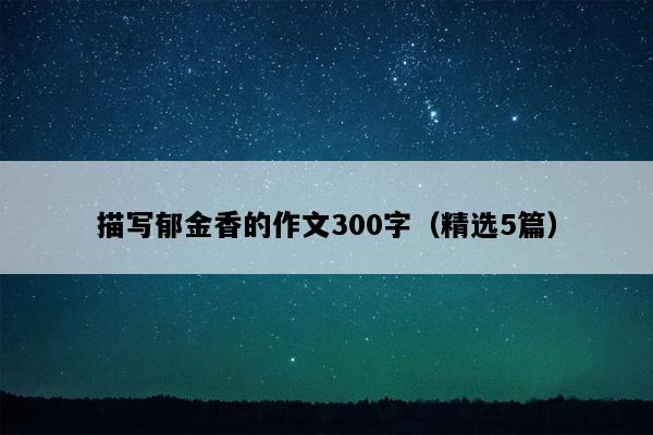 描写郁金香的作文300字（精选5篇）