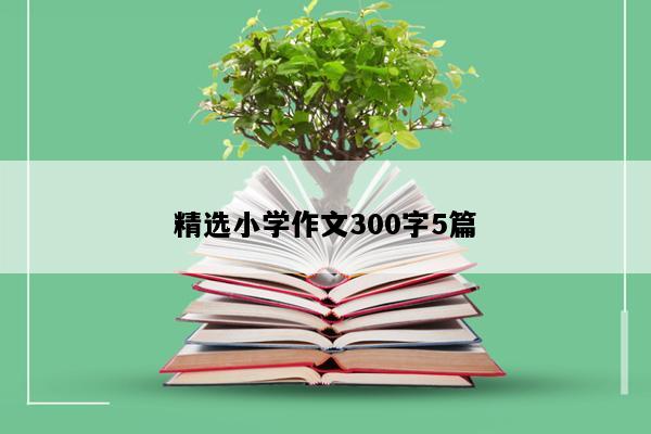 精选小学作文300字5篇