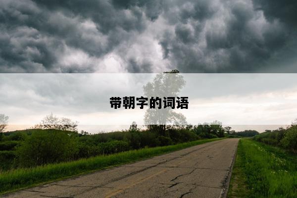 带朝字的词语