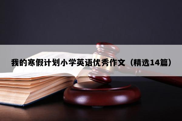 我的寒假计划小学英语优秀作文（精选14篇）