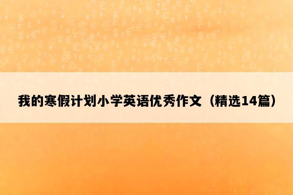 我的寒假计划小学英语优秀作文（精选14篇）