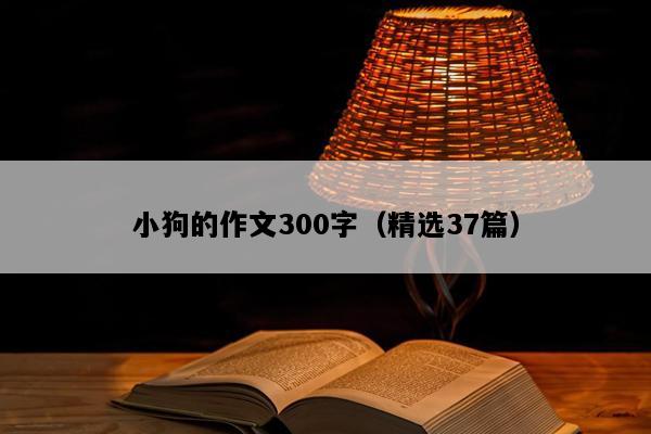 小狗的作文300字（精选37篇）
