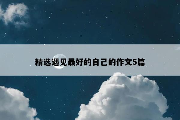 精选遇见最好的自己的作文5篇