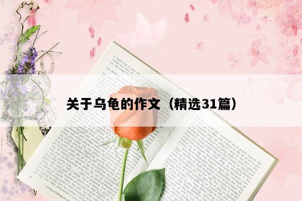 关于乌龟的作文（精选31篇）