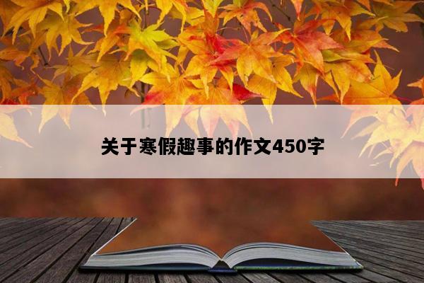 关于寒假趣事的作文450字