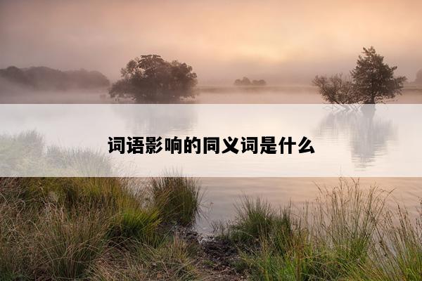 词语影响的同义词是什么