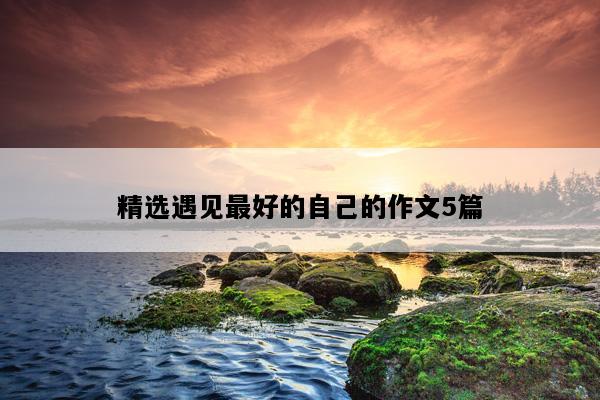 精选遇见最好的自己的作文5篇