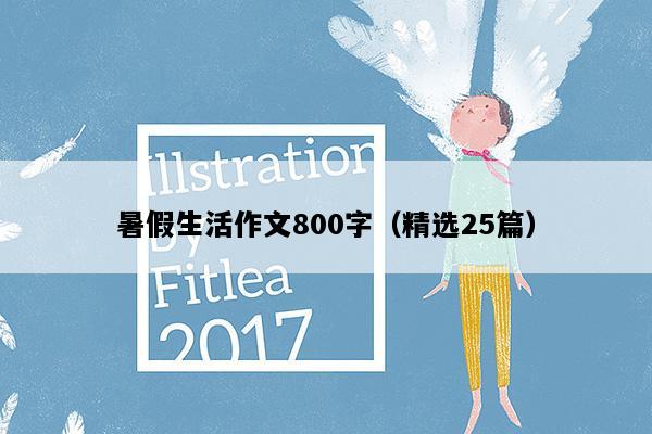 暑假生活作文800字（精选25篇）