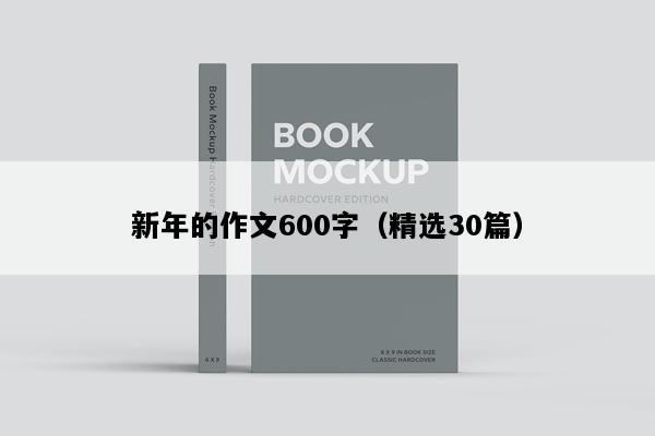 新年的作文600字（精选30篇）