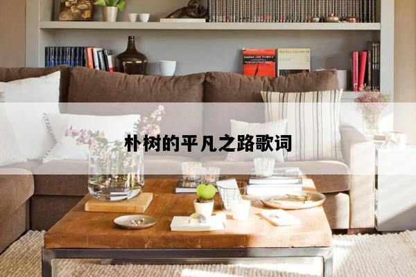 朴树的平凡之路歌词
