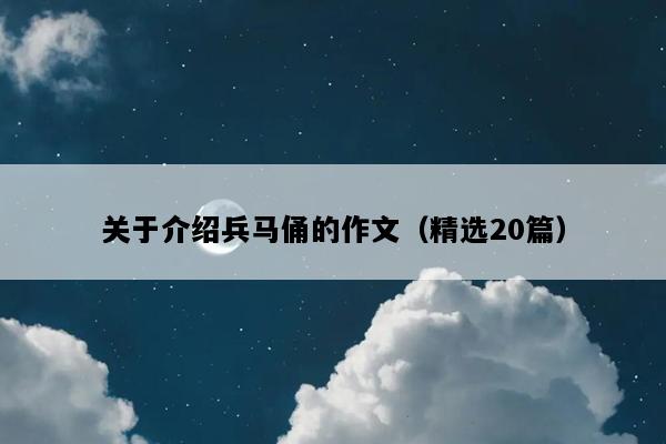 关于介绍兵马俑的作文（精选20篇）