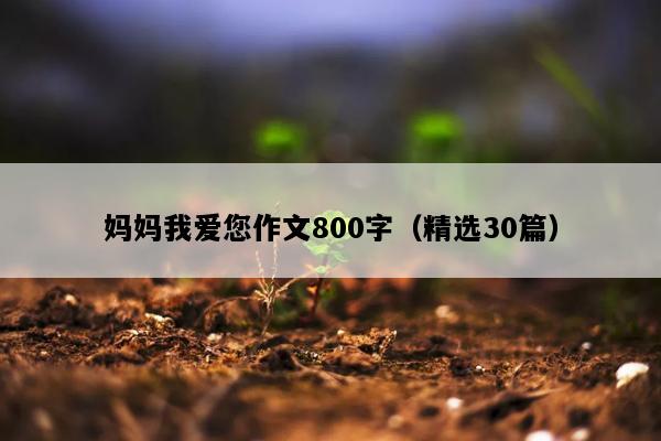 妈妈我爱您作文800字（精选30篇）