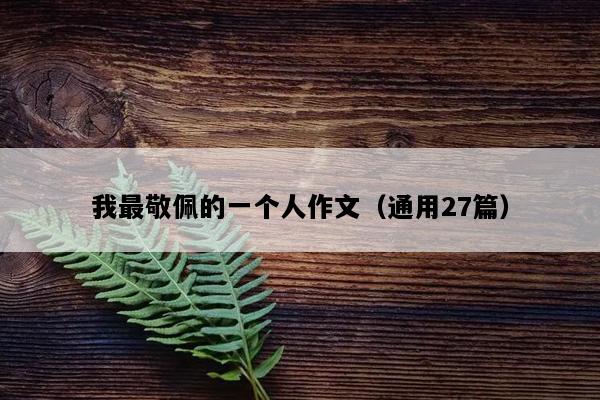 我最敬佩的一个人作文（通用27篇）
