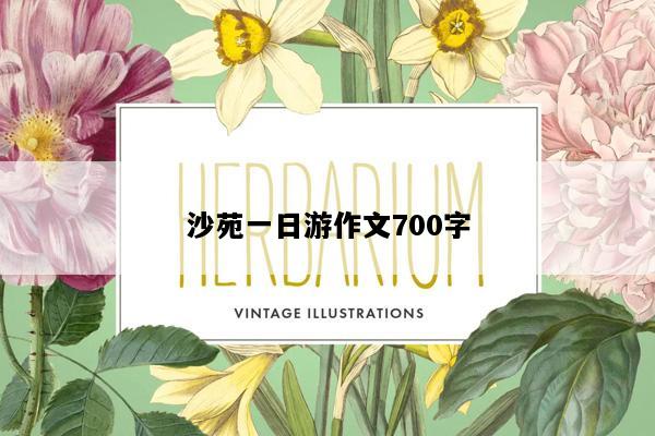 沙苑一日游作文700字