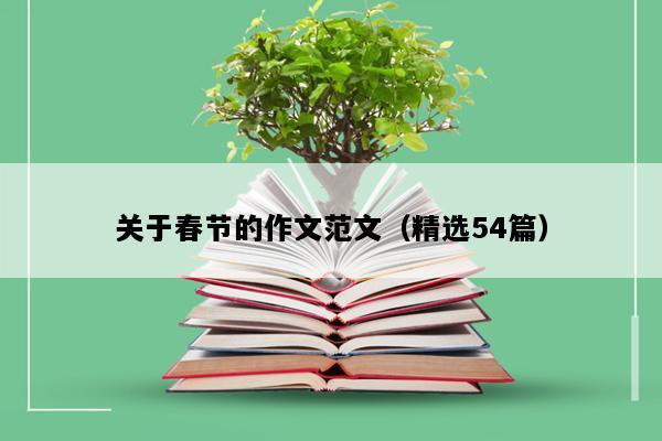 关于春节的作文范文（精选54篇）