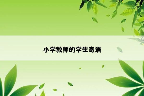小学教师的学生寄语