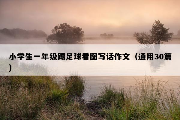 小学生一年级踢足球看图写话作文（通用30篇）