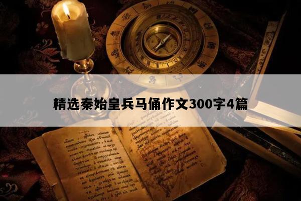 精选秦始皇兵马俑作文300字4篇