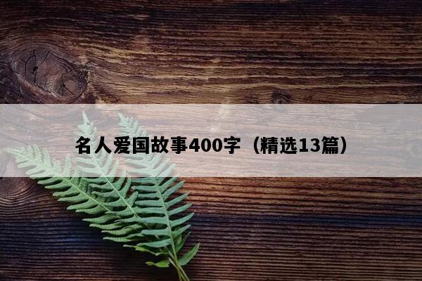 名人爱国故事400字（精选13篇）
