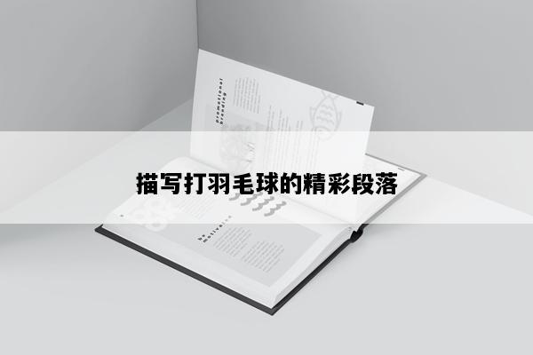描写打羽毛球的精彩段落
