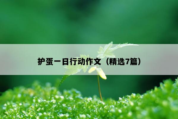 护蛋一日行动作文（精选7篇）