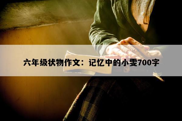 六年级状物作文：记忆中的小雯700字