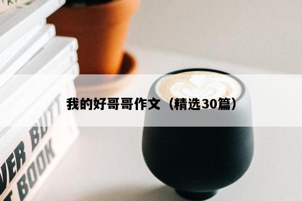 我的好哥哥作文（精选30篇）