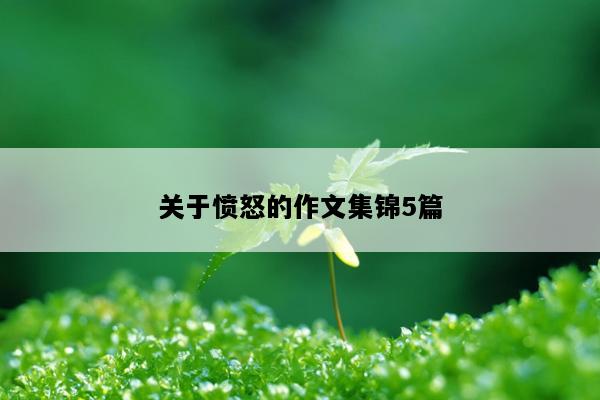 关于愤怒的作文集锦5篇