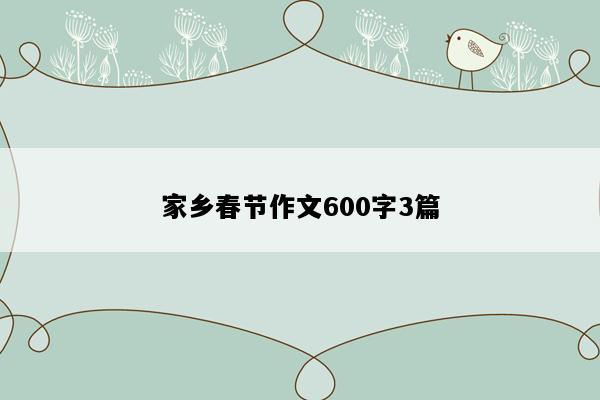 家乡春节作文600字3篇