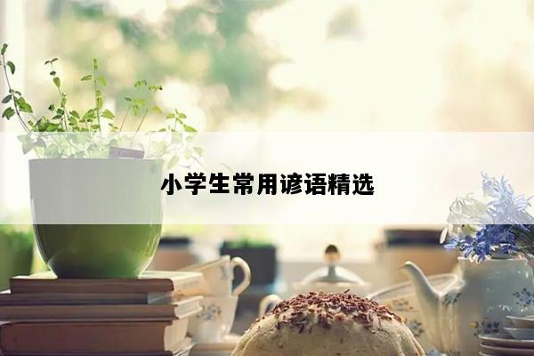 小学生常用谚语精选