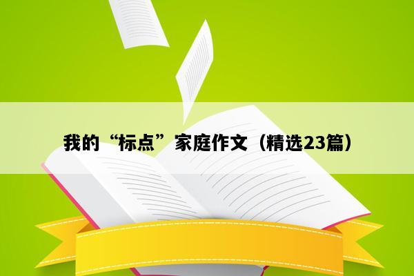 我的“标点”家庭作文（精选23篇）