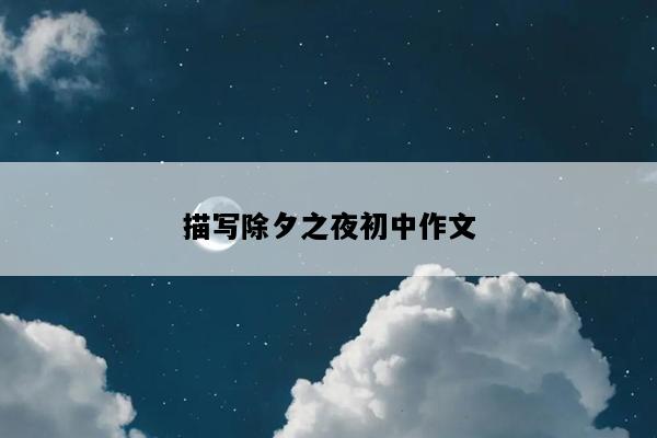 描写除夕之夜初中作文