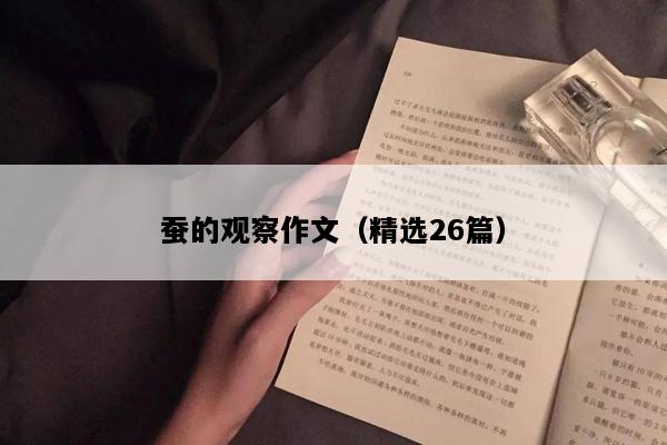 蚕的观察作文（精选26篇）