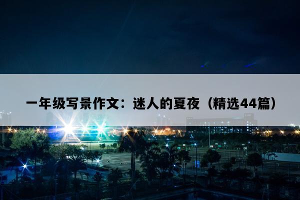 一年级写景作文：迷人的夏夜（精选44篇）