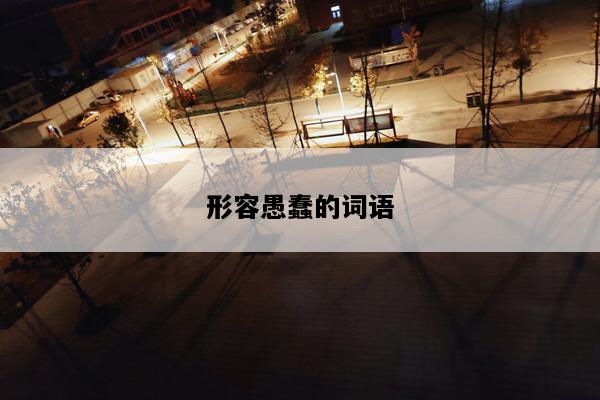 形容愚蠢的词语
