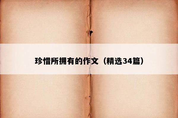 珍惜所拥有的作文（精选34篇）