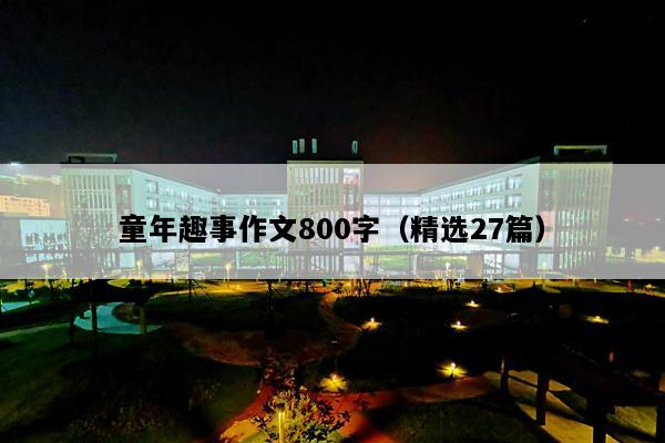 童年趣事作文800字（精选27篇）