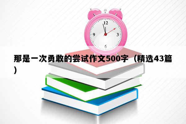 那是一次勇敢的尝试作文500字（精选43篇）