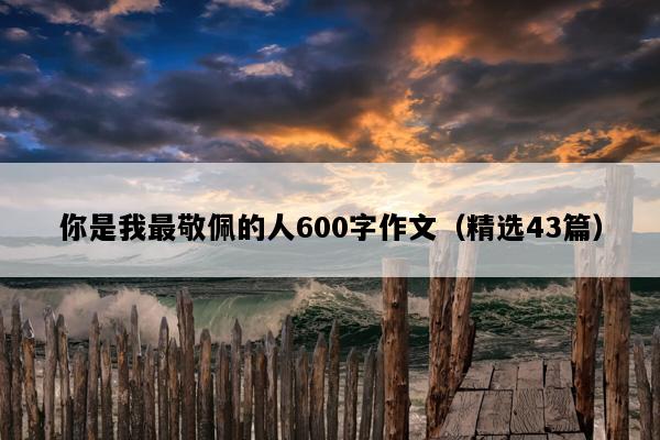 你是我最敬佩的人600字作文（精选43篇）