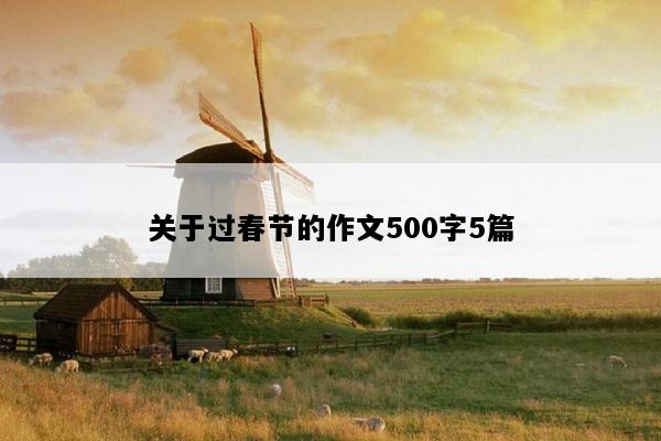 关于过春节的作文500字5篇