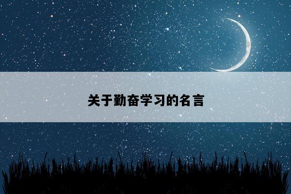 关于勤奋学习的名言